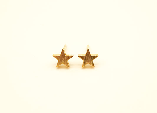 Tiny Brushed Star Earring